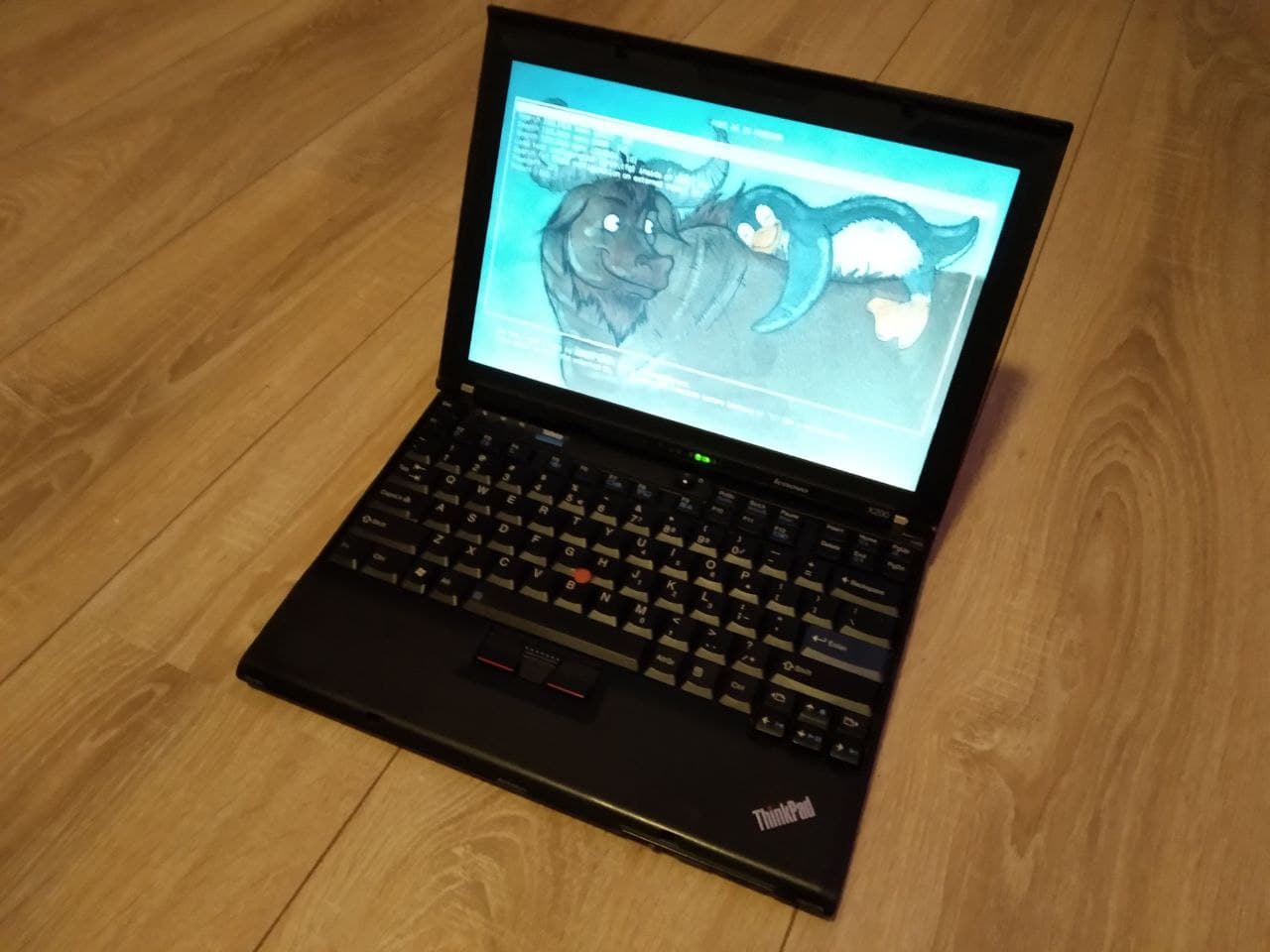 My Thinkpad X200